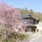 Rental villa Yamasemi - Vacation STAY 39298v