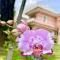 Flower House Villa