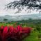 Luxury Villa Carao - Serene Amazing Views and Starlink