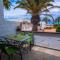 The Great Palm Apartment