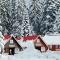 Alpine ski chalet Borovets with sauna