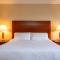 Hilton Garden Inn Manchester Downtown - Habitación King Con Sofá Cama Y Vistas A La Ciudad