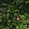 Mahout Resort Wayanad - An Experiential Jungle Stay with Waterfall