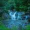 Wild Courtyard Wayanad Resort