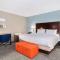 Hampton Inn Rock Hill - King Study Con Cama De Sofá - No Fumadores