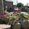 Anneddle Cottage in Talybont, near Barmouth