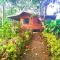 CASITAS GINGER