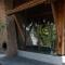 Ducampo House Dalat