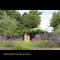 Le Cabanon
