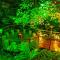 Noah's Forest Hotel by Tifakara