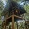 INN On The Tree Eco Resort Sigiriya