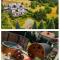 CALMA - Apartament - LUXUSu