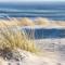 Familienwohnzelt ZELT UND SAND direkt am Strand