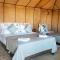 Sahara Luxurious Camp
