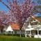 Holiday Park Dennenbos