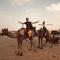 Camel Trekking Desert Camp