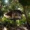 Roots Tree House
