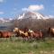 Mount Peale Country Inn near Moab