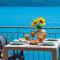 Meteora Suites