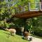 Apartments Kokl - Adults only