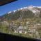Apartment Grepon 3A - A Central Chamonix Haven