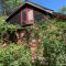 Romantic house 2 on a pine hill Dalat