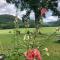 Gorgeous cabin stay near I-77, views, antiques, Wi-fi, wonderful experience for 2!