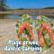 Camping le Moulin des Oies