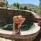 Olive Stone Farm Cottages