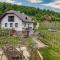 Vineyard Homestead Vrtin - Happy Rentals