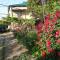 Colourful Udabno