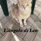 L'Angolo di Leo