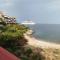 Roof Garden By The Sea