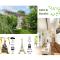The Little Oak - tiny house with bed on mezzanine & terrace - from 1 to 4 p Disney, Paris & CDG