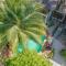 Ocean Boho House