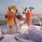 Hotel Image Thumbnail