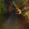Camelia Holiday Resort
