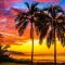 Charming Beach Apartment Your Hawaiian Getaway