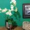 The Orchid
