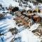 Le front de neige 1900