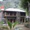 Rinte Green Village & Bukit Lawang Jungle Trekking