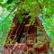 Habarana Tree House Ambasewana Resort