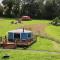 Allercombe Farm Glamping Yurts & Wild Camping