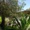 Camps Bay Forest Pods