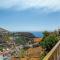 Pico The Best View