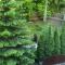George Apartament Central cu gradina proprie
