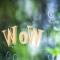WoW