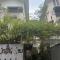 MyFa House