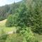 Forest View