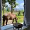NamKhan Horse Stable